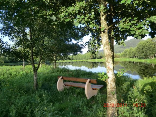 Les Gites De L Etang :Studio A 20 Mn De Gerardmer La Chapelle  Exterior photo