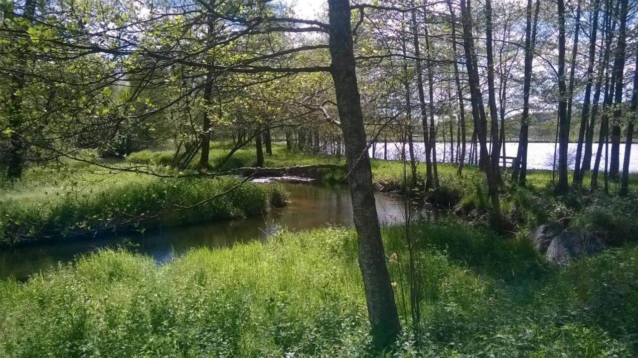 Les Gites De L Etang :Studio A 20 Mn De Gerardmer La Chapelle  Exterior photo