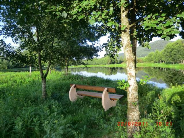 Les Gites De L Etang :Studio A 20 Mn De Gerardmer La Chapelle  Exterior photo