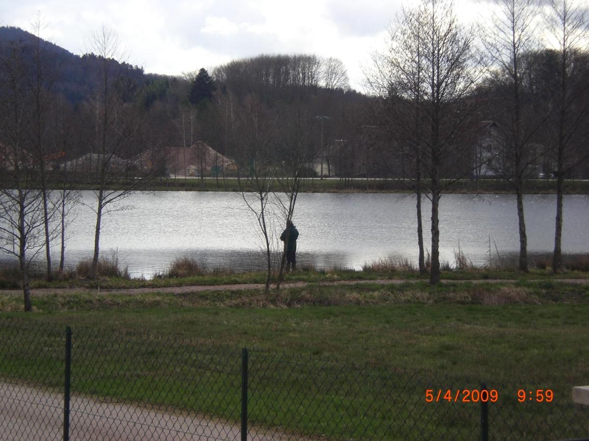 Les Gites De L Etang :Studio A 20 Mn De Gerardmer La Chapelle  Exterior photo