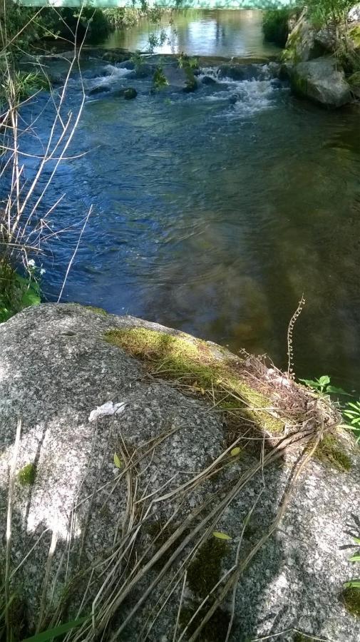 Les Gites De L Etang :Studio A 20 Mn De Gerardmer La Chapelle  Exterior photo